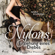 Nylons: Erziehung eines Diebes - Erotische Phantasien