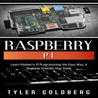 Raspberry PI: Learn Rasberry Pi Programming the Easy Way, A Beginner Friendly User Guide