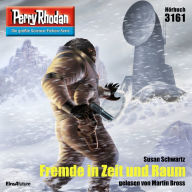 Perry Rhodan 3161: Fremde in Zeit und Raum: Perry Rhodan-Zyklus 