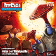 Perry Rhodan 2858: Hüter der Stahlquelle: Perry Rhodan-Zyklus 