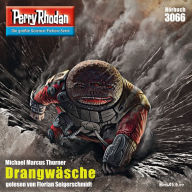 Perry Rhodan 3066: Drangwäsche: Perry Rhodan-Zyklus 