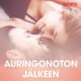 Auringonoton jälkeen - eroottinen novelli