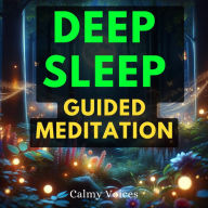 Deep Sleep Guided Meditation