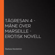 Tågresan 4 - Måne över Marseille - erotisk novell