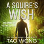 A Squire's Wish: A GameLit Urban Fantasy