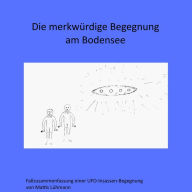 Die merkwürdige Begegnung am Bodensee: Fallzusammenfassung einer UFO-Insassen-Begegnung