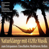 Naturklänge mit 432Hz Musik zum Entspannen, Einschlafen, Meditieren, Heilen: Meeresauschen, Regen, Waldgeräusche, Bach, Vogelstimmen, Einschlafmusik, Entspannungsmusik