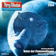 Perry Rhodan Nr. 2934: Unter der Flammenflagge: Perry Rhodan-Zyklus 