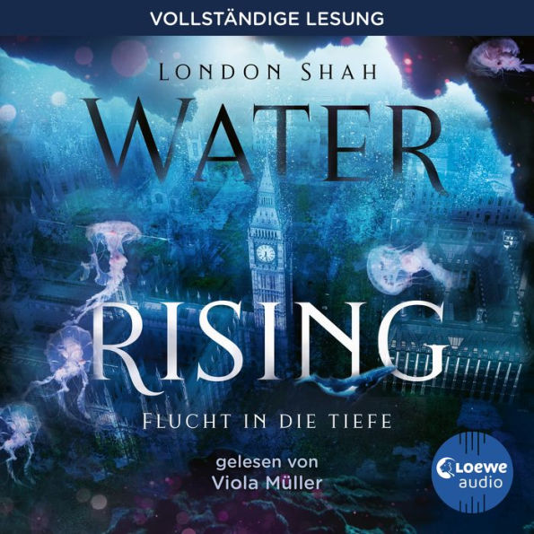 Water Rising (Band 1) - Flucht in die Tiefe: Dystopischer Climate Thriller ab 14 Jahren (Abridged)