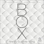 The Box: A Novel