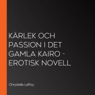 Kärlek och passion i det gamla Kairo - erotisk novell