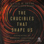 The Crucibles That Shape Us: Navigating the Defining Challenges of Leadership