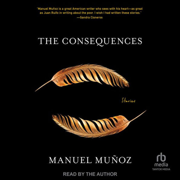 The Consequences: Stories