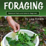 Foraging: Medicinal Plants and Herbs for Beginners