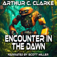 Encounter in the Dawn