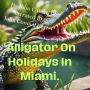 Alligator On Holidays In Miami.: What a Holiday In Miami Looks Like for a Family of Alligator's? (Abridged)