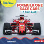 Formula One Race Cars: A First Look