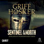 Sentinel of the North: Border Knight Book 9