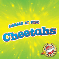 Cheetahs