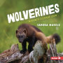 Wolverines: Nature's Cleanup Crew