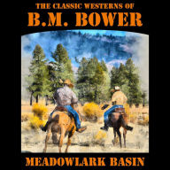 Meadowlark Basin