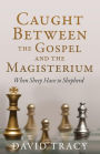 Caught Between the Gospel and the Magisterium: When Sheep Have to Shepherd