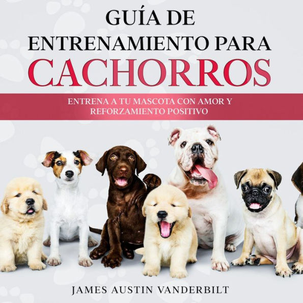 Guía de entrenamiento para cachorros: Entrena a tu mascota con amor y reforzamiento positivo