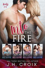Into The Fire - Books 1-4