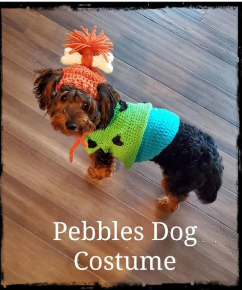 Barnes and Noble Pebbles Girl Dog Dress and Hat Pattern