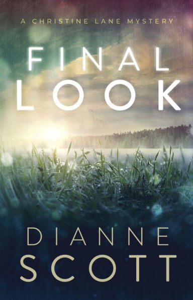 Final Look: A Christine Lane Mystery