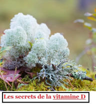 Title: Les secrets de la vitamine D: Comment savoir si vous avez une carence en vitamine D et comment la surmonter facilement, Author: Detrait Vivien