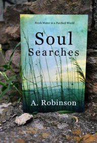 Title: Soul Searches, Author: Angela M. Robinson