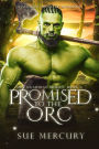 Promised to the Orc: A Fantasy Monster Romance