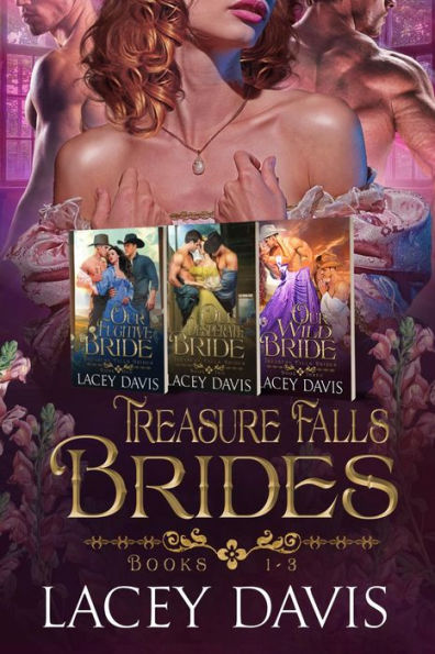 Treasure Falls Brides Books 1-3 Box Set