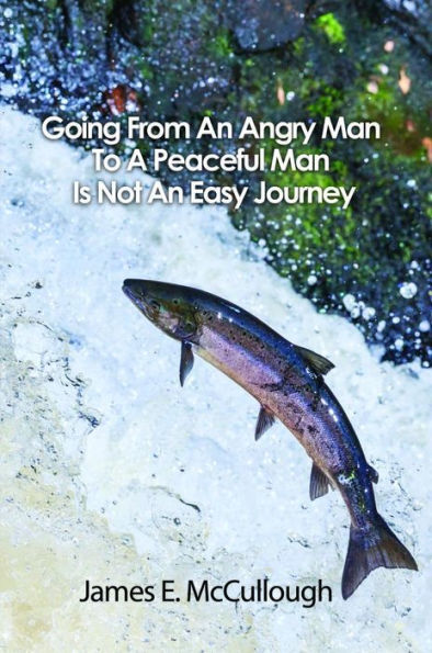 Going From An Angry Man To A Peaceful Man Is Not An Easy Journey