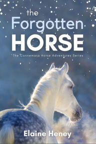 The Forgotten Horse - Book 1 in the Connemara Horse Adventure Series for Kids. The perfect gift for children age 8-12