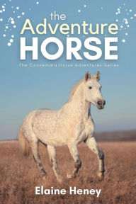 Title: The Adventure Horse - Book 5 in the Connemara Horse Adventure Series for Kids The Perfect Gift for Children age 8-12, Author: Elaine Heney