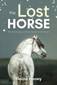 Title: The Lost Horse - Book 6 in the Connemara Horse Adventure Series for Kids The Perfect Gift for Children age 8-12, Author: Elaine Heney