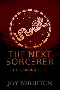 Title: The Next Sorcerer, Author: Joy Brighton