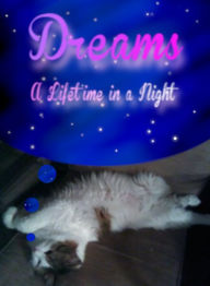 Title: Dreams: A Lifetime in a Night, Author: Valerie Fuqua