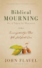 Biblical Mourning: Encouragement for Those Who Lost Loved Ones