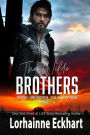 The Wilde Brothers Books 7 - 9