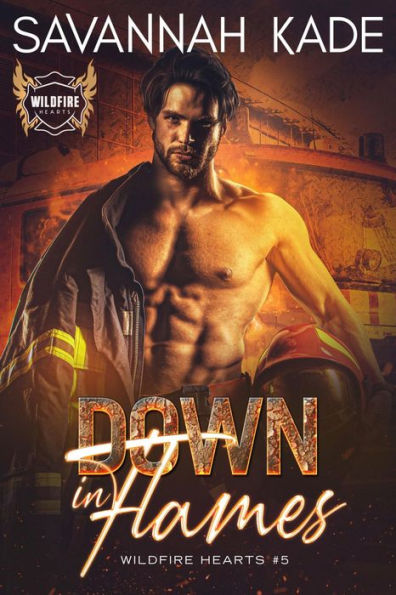 Down in Flames: A Hidden Identity Protector Romantic Suspense