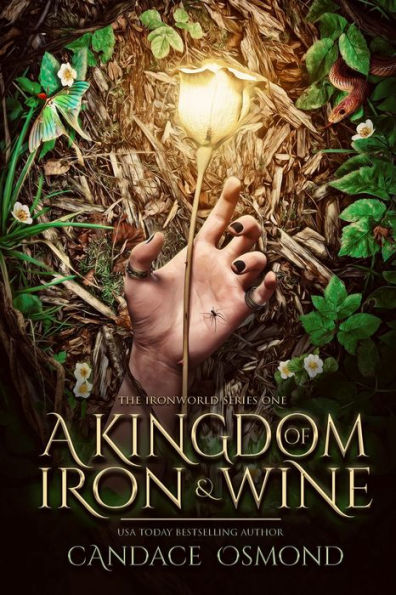 A Kingdom of Iron & Wine: A New Adult Fantasy Romance