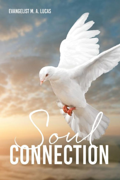 Soul Connection