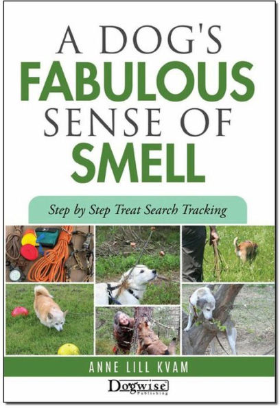 A Dog's Fabulous Sense Of Smell: Step by Step Treat Search Tracking