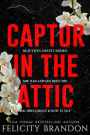 Captor In The Attic: A Dark Captivating Romance