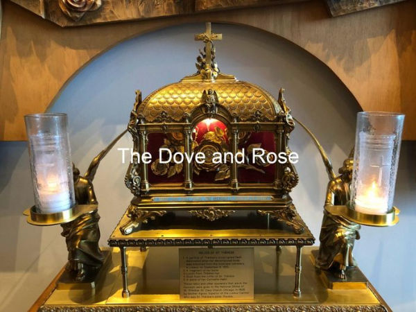 The Dove and Rose: Personal reflections on devotion to St. Joan of Arc and St. Thérèse of Lisieux