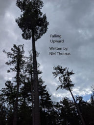 Title: Falling Upward, Author: NM Thomas