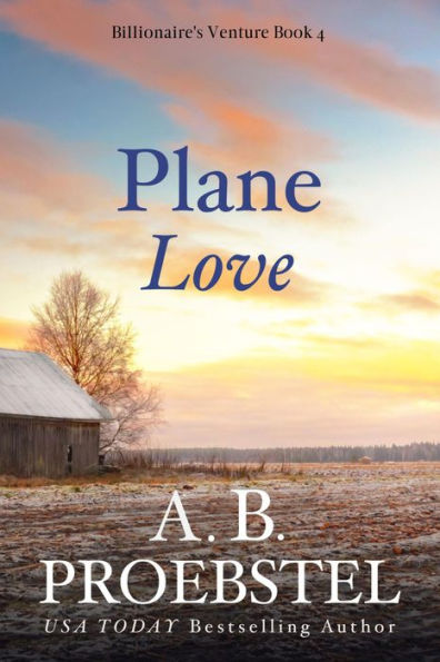 Plane Love: A Christian Romance (Billionaire's Venture, Book 4)